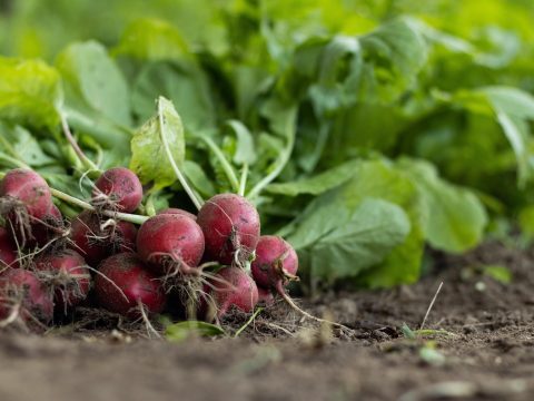 Warnung vor steigenden Preisen durch Reform des Heizungsgesetzes